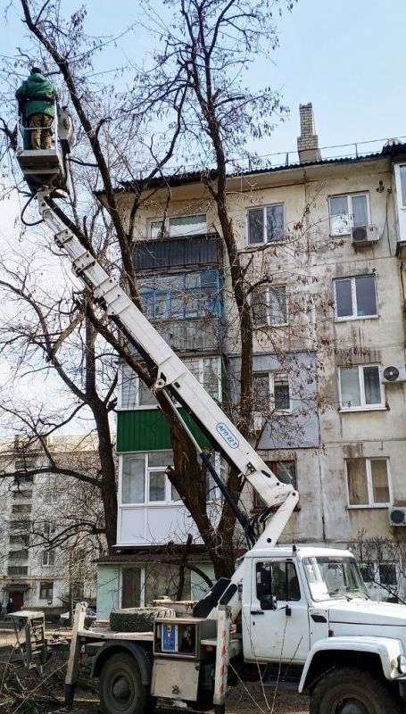 Уход за зелёными насаждениями: работы в Антрацитовском муниципальном округе Уход за зелёными насаждениями: работы в Антрацитовском муниципальном округе