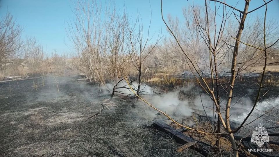 За выходные в ЛНР ликвидировали 22 пожара, 14 из которых — сухотравные За выходные в ЛНР ликвидировали 22 пожара, 14 из которых — сухотравные