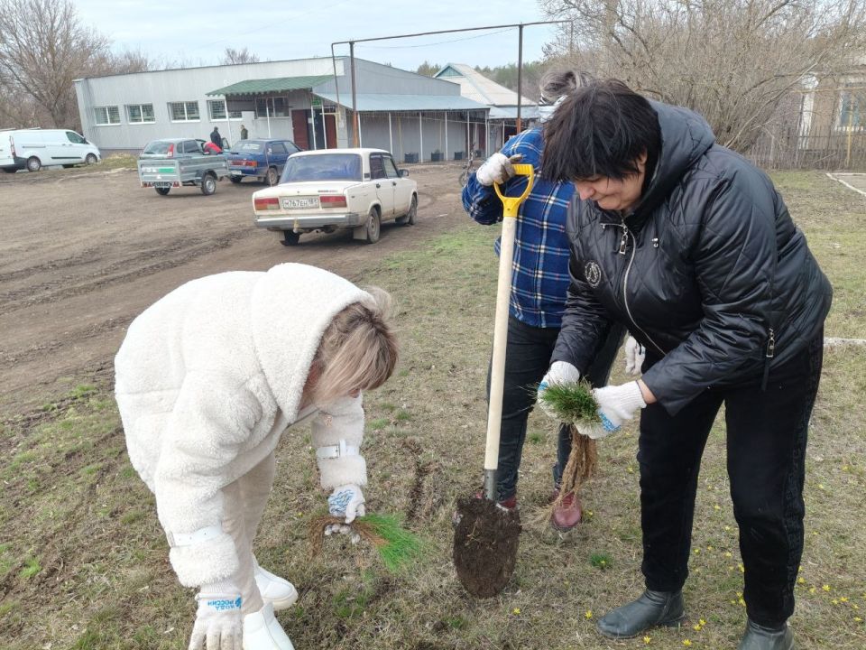 20.03.2026г. стартовала акция "Сад памяти" 20.03.2026г. стартовала акция "Сад памяти"