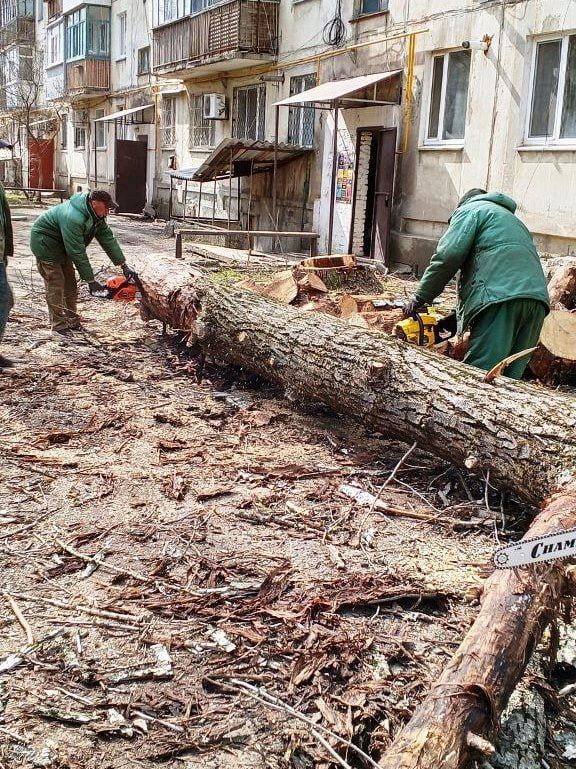 Уход за зелёными насаждениями: работы в Антрацитовском муниципальном округе Уход за зелёными насаждениями: работы в Антрацитовском муниципальном округе