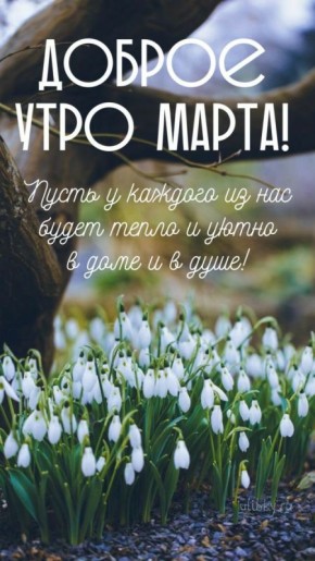 Доброе утро, Алчевск!. Сегодня понедельник, начало новой трудовой недели