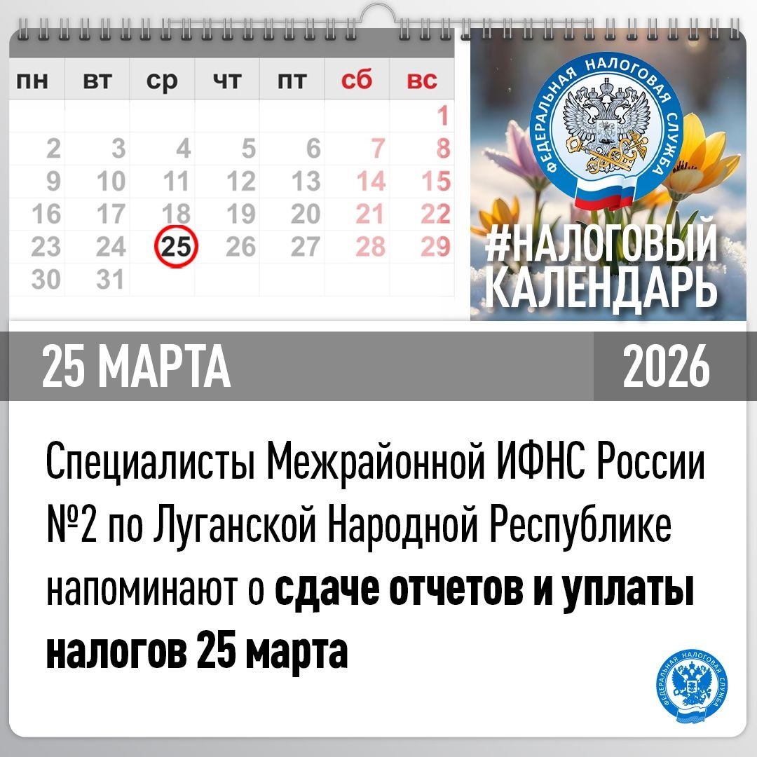 Межрайонная ИФНС России №2 по ЛНР напоминает о сдаче отчетов и уплаты налогов 25 марта