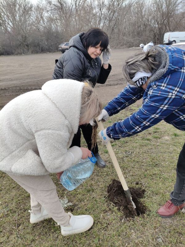 20.03.2026г. стартовала акция "Сад памяти" 20.03.2026г. стартовала акция "Сад памяти"