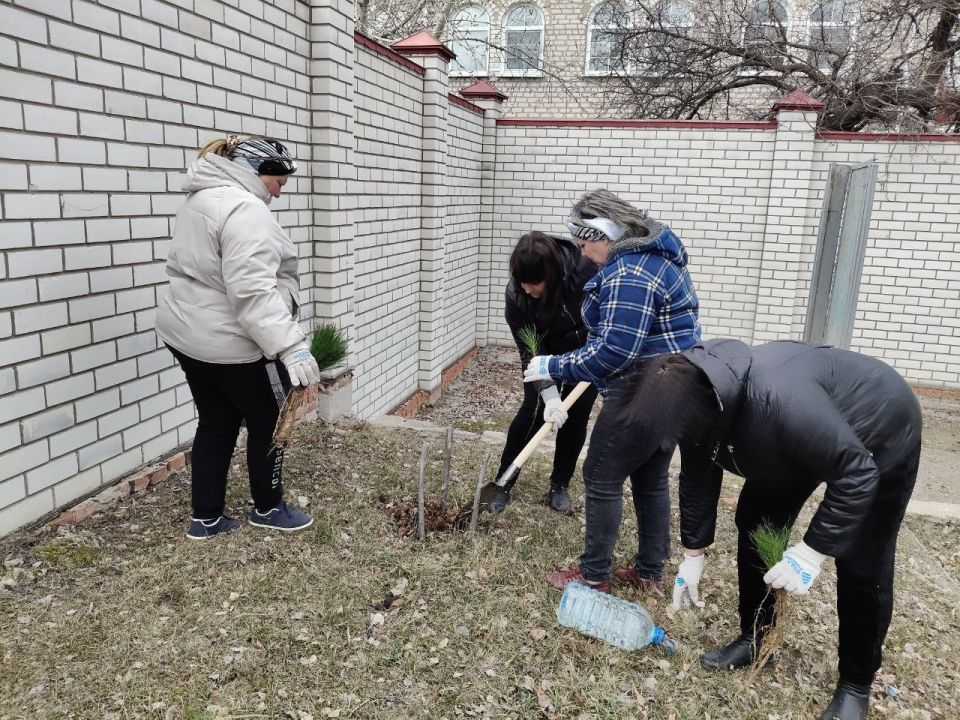 20.03.2026г. стартовала акция "Сад памяти" 20.03.2026г. стартовала акция "Сад памяти"