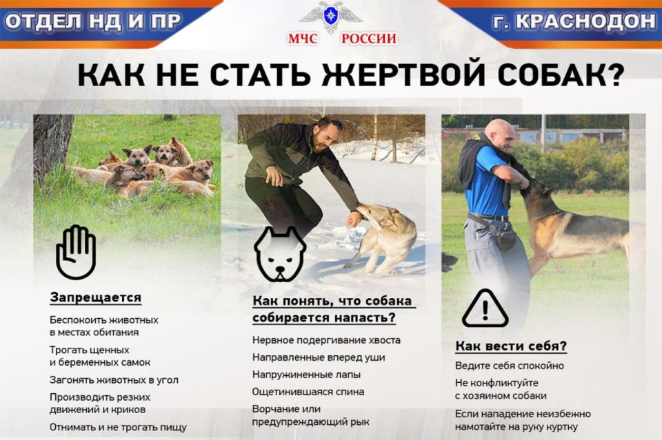 Оперативная информация по пожарам на 23 марта Оперативная информация по пожарам на 23 марта