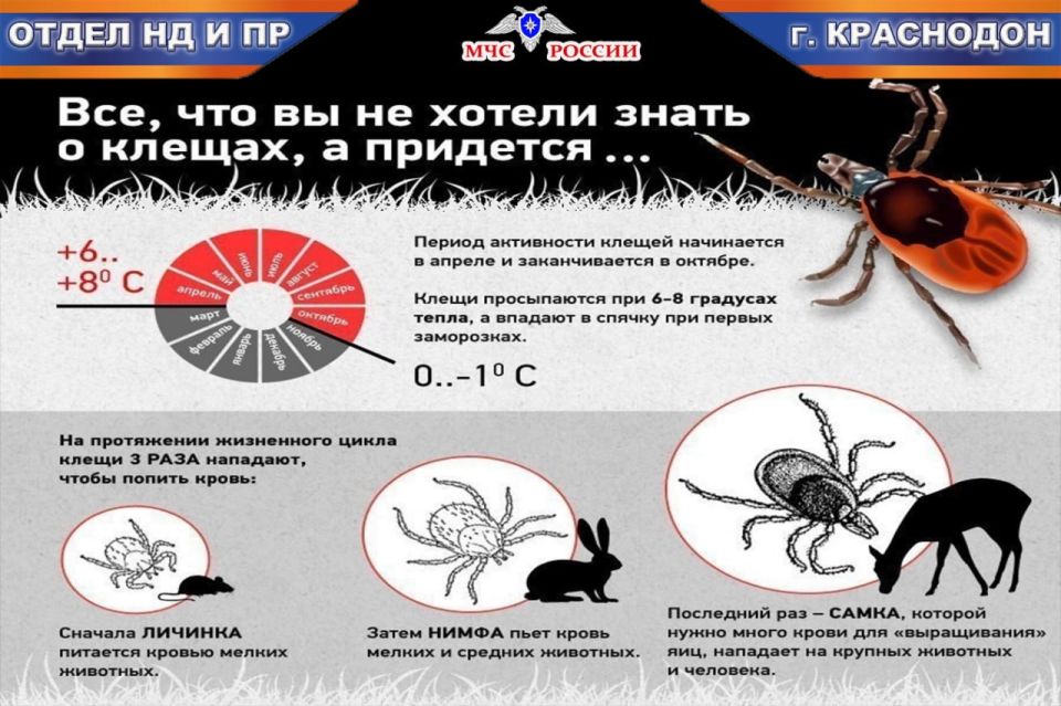 Оперативная информация по пожарам на 23 марта Оперативная информация по пожарам на 23 марта