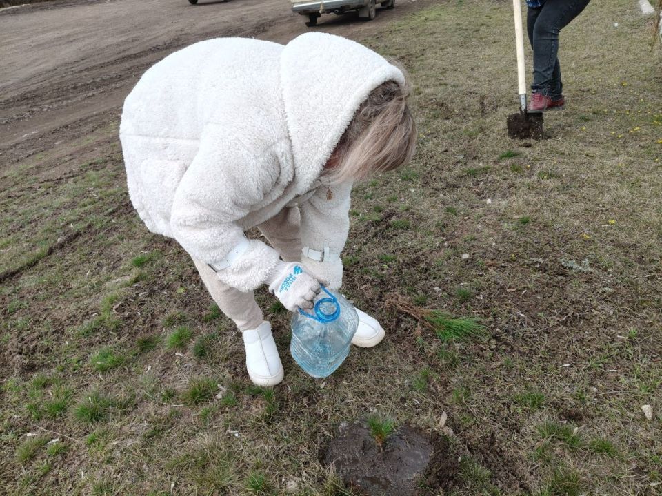 20.03.2026г. стартовала акция "Сад памяти" 20.03.2026г. стартовала акция "Сад памяти"