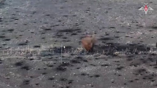 Расчет «Д-30» ВС РФ уничтожил пехотинцев ВСУ в Сумской области, а в Запорожской области под ударом оказались опорные пункты противника