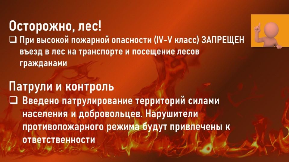 На территории ЛНР с 1 апреля по 31 октября 2026 года установлен противопожарный режим На территории ЛНР с 1 апреля по 31 октября 2026 года установлен противопожарный режим