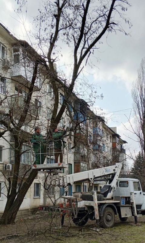 Уход за зелёными насаждениями: работы в Антрацитовском муниципальном округе Уход за зелёными насаждениями: работы в Антрацитовском муниципальном округе