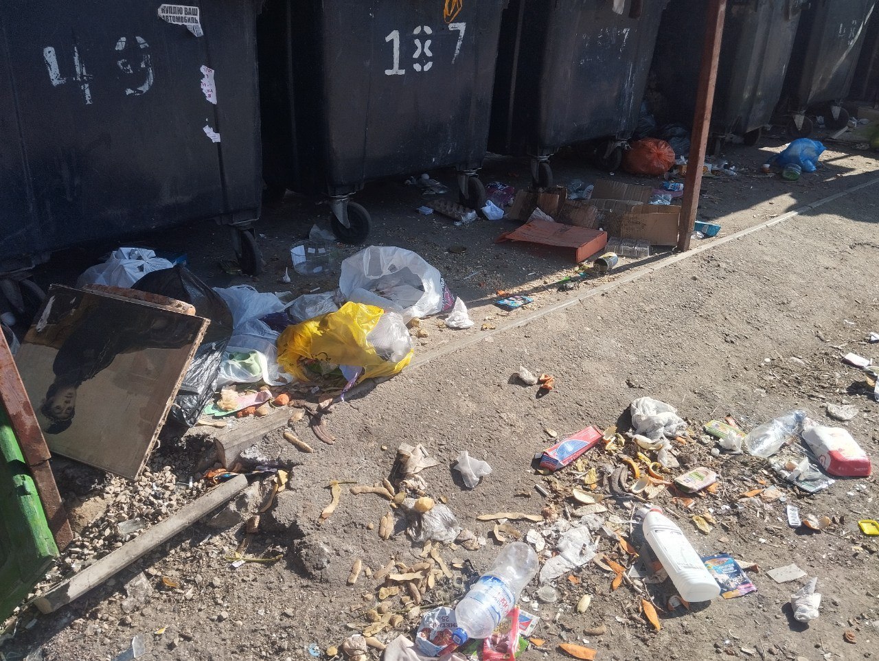 МУП "СКАТ" ведет активную деятельность по поддержанию чистоты и порядка на территории города, выполняя комплекс работ, направленных на благоустройство и улучшение качества жизни горожан МУП "СКАТ" ведет активную деятельность по поддержанию чистоты и порядка на территории города, выполняя комплекс работ, направленных на благоустройство и улучшение качества жизни горожан