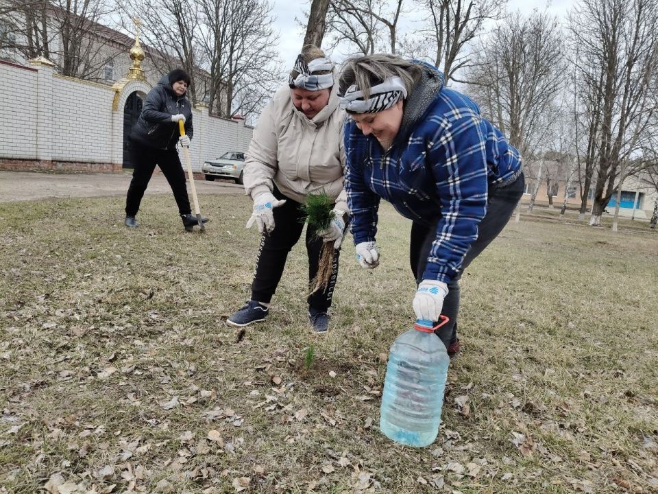 20.03.2026г. стартовала акция "Сад памяти" 20.03.2026г. стартовала акция "Сад памяти"