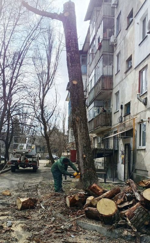 Уход за зелёными насаждениями: работы в Антрацитовском муниципальном округе Уход за зелёными насаждениями: работы в Антрацитовском муниципальном округе