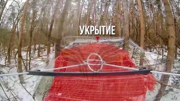 �������� ���������. ������� ����������� ��������� �� ����� | ��������� �� ��� ��������� | �������c����� @luganmedia