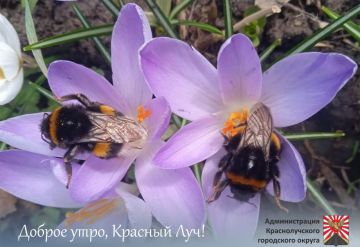 ������ ����, ������������ � ����� ������!