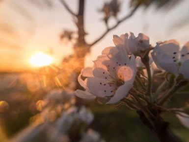 ������� ������� - 24 �����