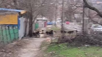 � ������� ����� �������� � ���� �������� �����!