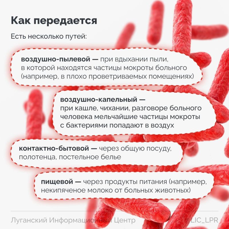 Кашель дольше трех недель, ночная потливость, беспричинная усталость — эти признаки часто списывают на простуду или стресс. Но именно они могут быть первыми сигналами туберкулеза. Поэтому нужно как можно раньше обратиться к... Кашель дольше трех недель, ночная потливость, беспричинная усталость — эти признаки часто списывают на простуду или стресс. Но именно они могут быть первыми сигналами туберкулеза. Поэтому нужно как можно раньше обратиться к...