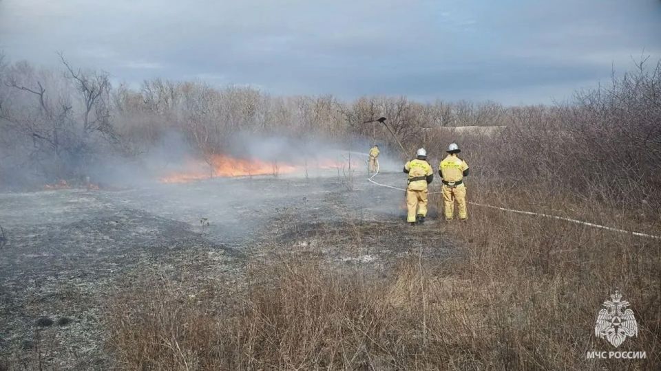 В ЛНР зафиксировали 18 сухотравных пожаров за сутки В ЛНР зафиксировали 18 сухотравных пожаров за сутки