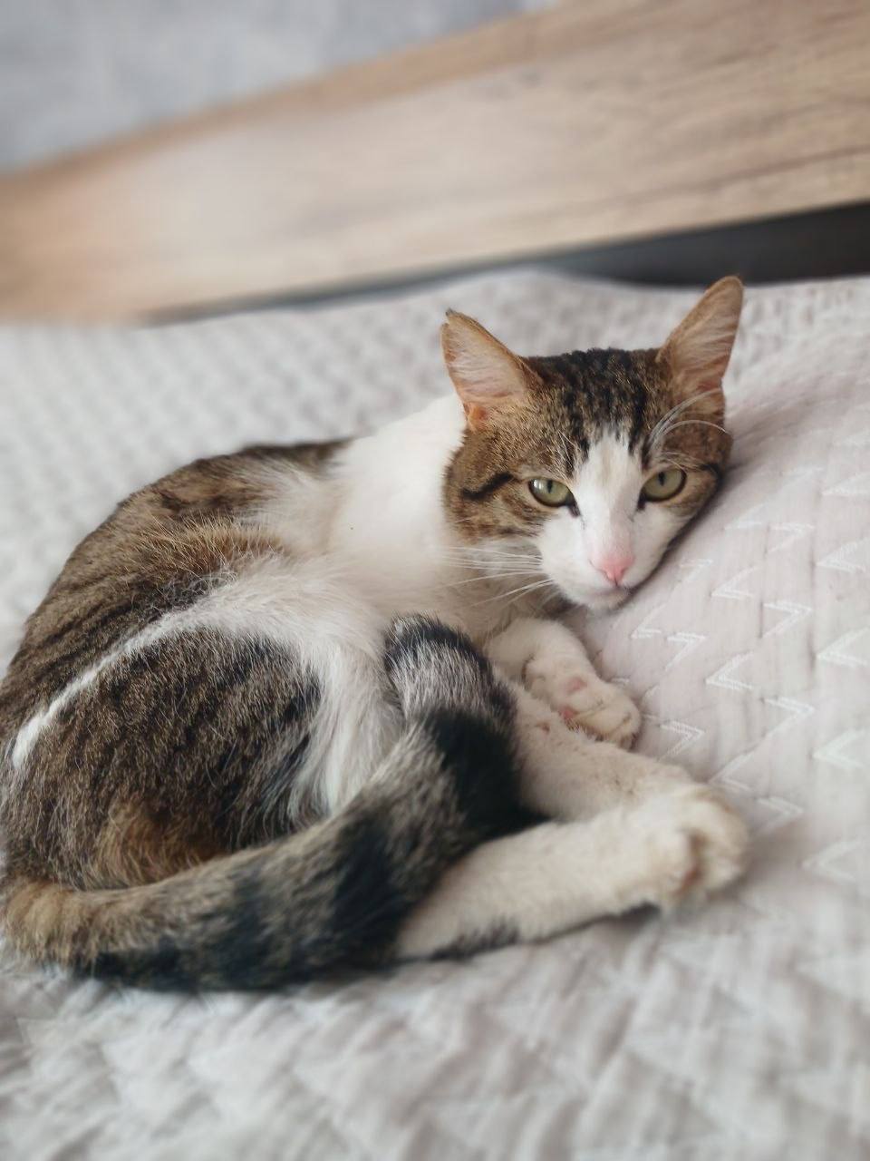 26 марта на территории Луганской Народной Республики прогнозируется переменная облачность