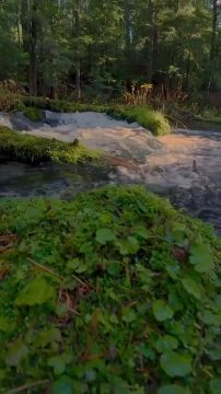 � ������ �����, ������ �������������� ������! ����� ���� ���� �������� ���� �������� ���������� � �������� ������!