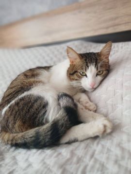 26 ����� �� ���������� ��������� �������� ���������� �������������� ���������� ����������