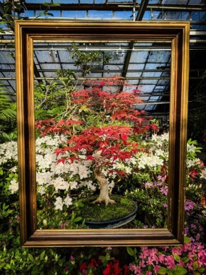 �������� ������ � ������� ������������ ���� ��. �.�. ������ ���