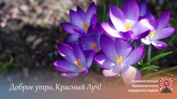 ������ ����, ������������!