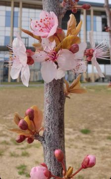 ��������� ������������ 26 ����� � ��� �� ���� 1 ������� ����� �� 17 �������� ����� ����, ��������� ��������� ����� � �����-������ �������� ���������� ��� ������ �� ���