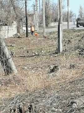 ������ ��������: ������� ����������� ��� "����" ����������� ������: