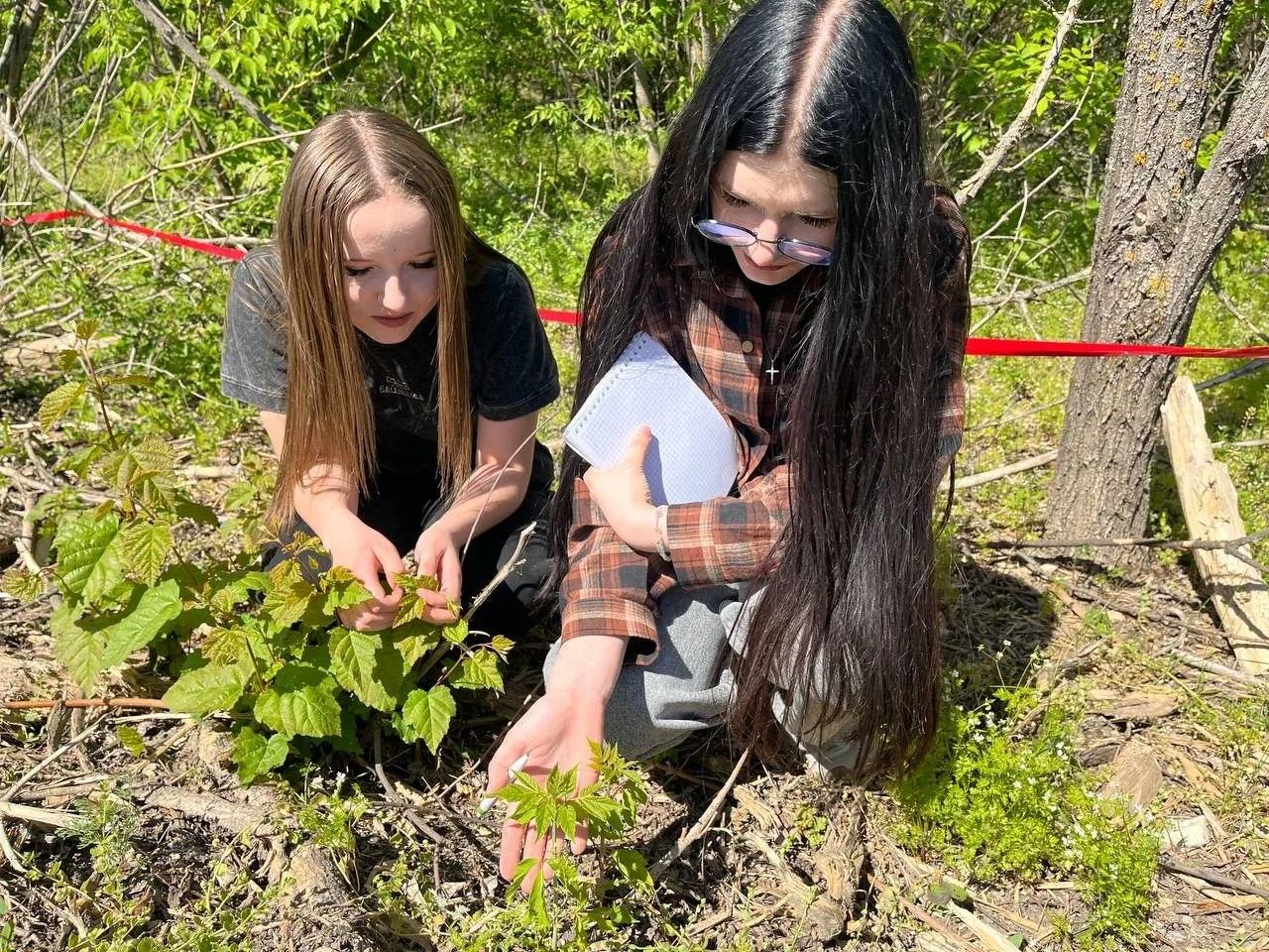 Школьники из ЛНР в числе финалистов Всероссийских конкурсов Школьники из ЛНР в числе финалистов Всероссийских конкурсов