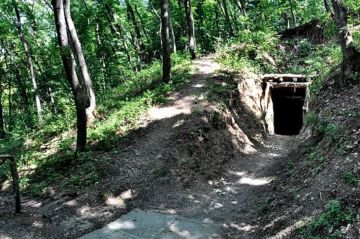 �� ��������� ����� ������, ������� ���� - �� ��������������: ����� ����������� �����