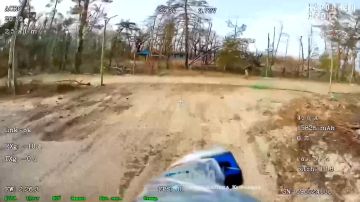 �������� ������ ����������� ���������� � ����� ���� ����������