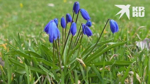 ������ ����!. ����� ���� ������������ �����, � ���� �� �������� � ����� ������������ ������