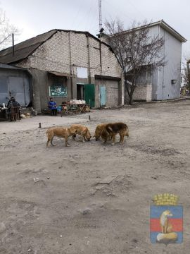 � ���������� ������������ ����������� �� ��������� � ��������� ��� ����������