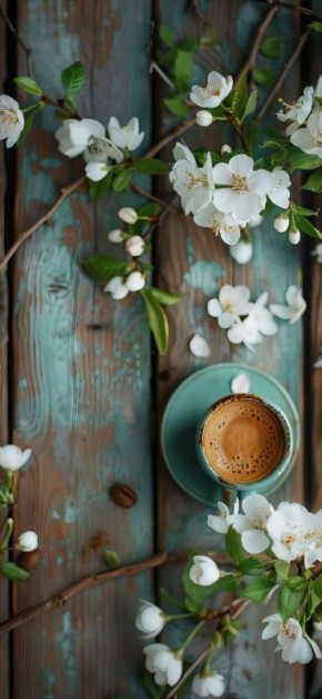 ������ ����. ���������� ������� �����