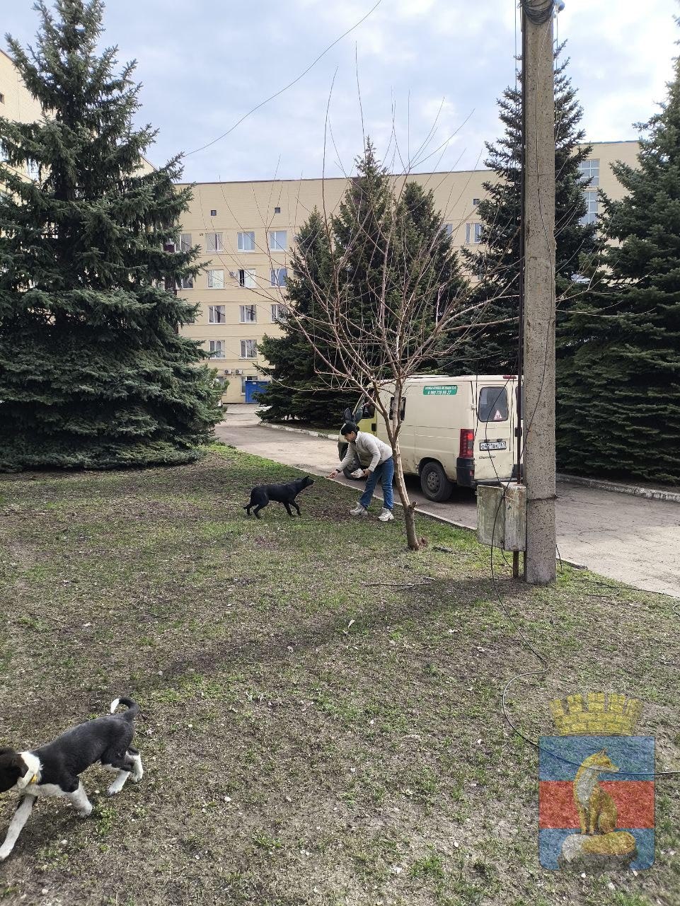 В Лисичанске продолжаются мероприятия по обращению с животными без владельцев В Лисичанске продолжаются мероприятия по обращению с животными без владельцев