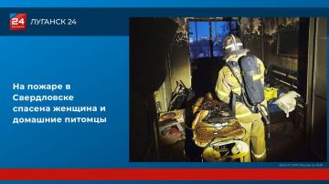 На пожаре в Свердловске спасена женщина и домашние питомцы