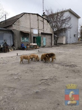 � ���������� ������������ ����������� �� ��������� � ��������� ��� ����������