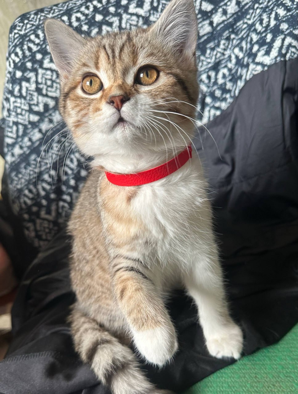 27 марта на территории Луганской Народной Республики будет облачно с прояснениями