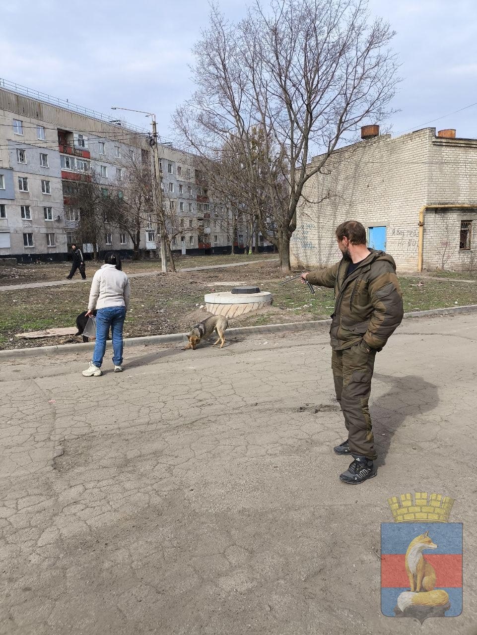 В Лисичанске продолжаются мероприятия по обращению с животными без владельцев В Лисичанске продолжаются мероприятия по обращению с животными без владельцев