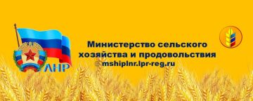 ������������ ��������� ��������� � �������������� ��������� �������� ���������� (����� - ����� ���) ����������� ��� � ���, ��� ������������� ������������ �������� � ���� �������������� 22-23 ������ 2026 ���� �������� XX...