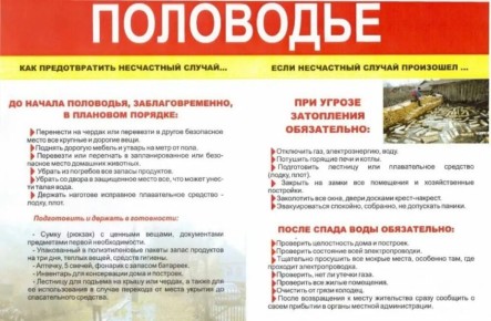 #МЧСРубежное