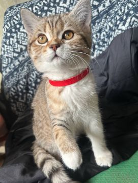 27 ����� �� ���������� ��������� �������� ���������� ����� ������� � ������������