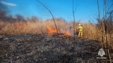 17 ландшафтных пожаров ликвидировали в ЛНР за минувшие сутки
