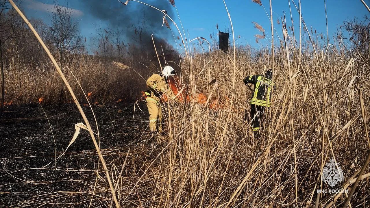 17 ландшафтных пожаров ликвидировали в ЛНР за минувшие сутки 17 ландшафтных пожаров ликвидировали в ЛНР за минувшие сутки