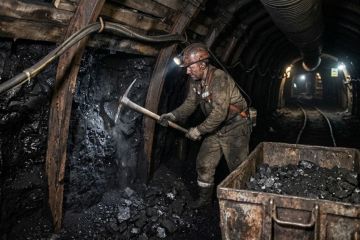 Задолженность по зарплате на угольных предприятиях ЛНР возросла до 169 млн руб., но финансирование найдено