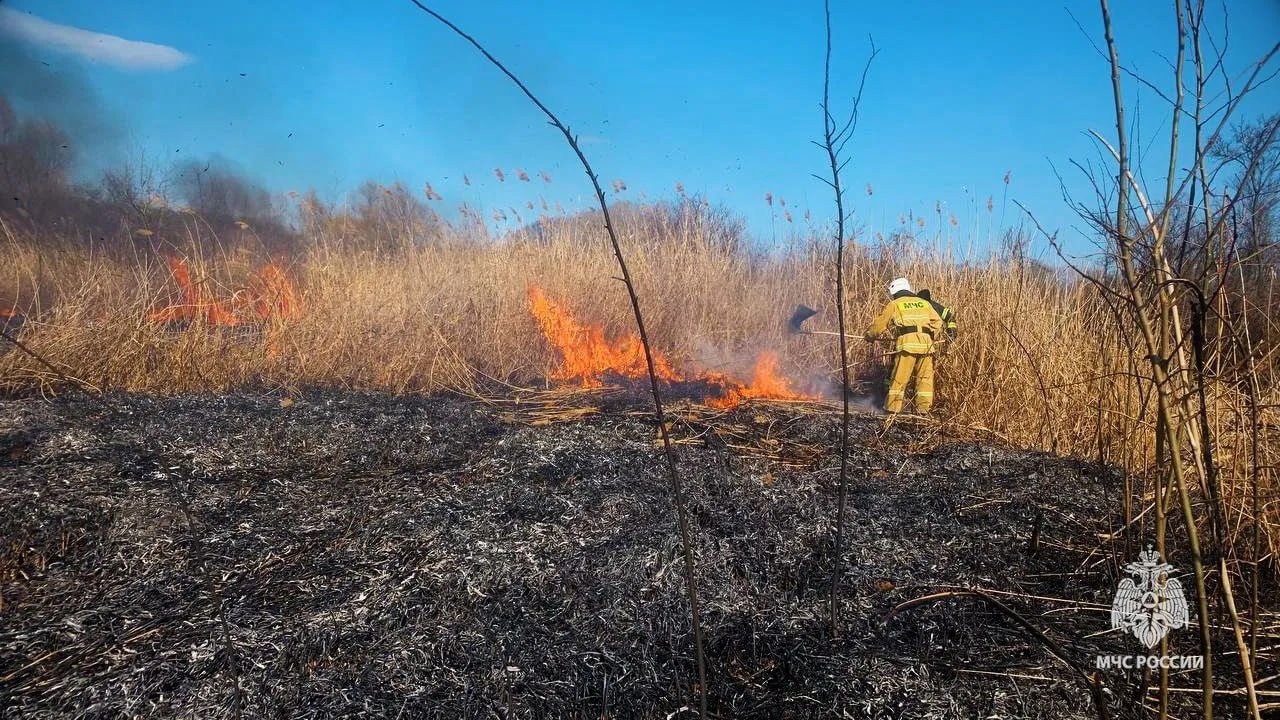 17 ландшафтных пожаров ликвидировали в ЛНР за минувшие сутки