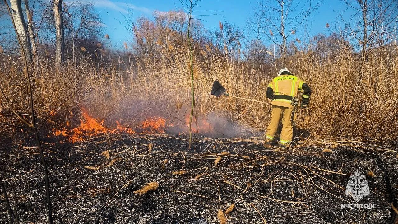 17 ландшафтных пожаров ликвидировали в ЛНР за минувшие сутки 17 ландшафтных пожаров ликвидировали в ЛНР за минувшие сутки