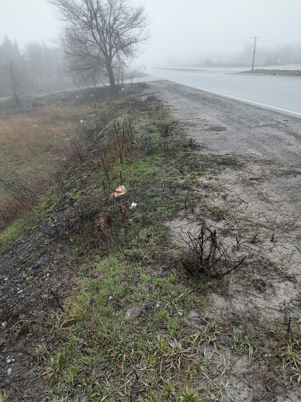 Андрей Рубанцов: Весенние работы по наведению порядка в городском округе продолжаются! Андрей Рубанцов: Весенние работы по наведению порядка в городском округе продолжаются!